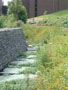 university of limerick - campus creek and old wall.jpg